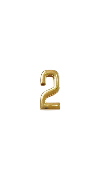 GOLD CHARM NUMBER (2)