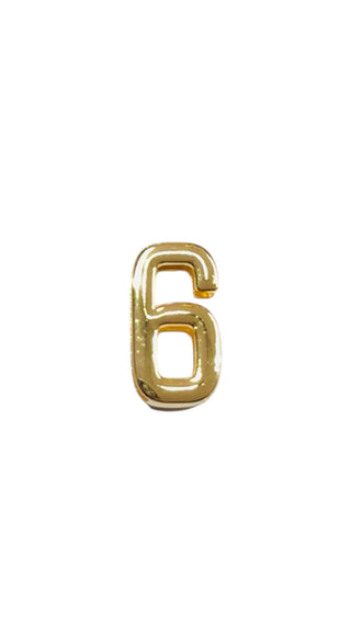 GOLD CHARM NUMBER (6)